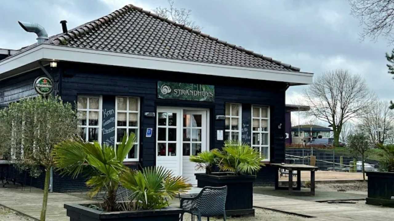 Lady's (bingo) Night