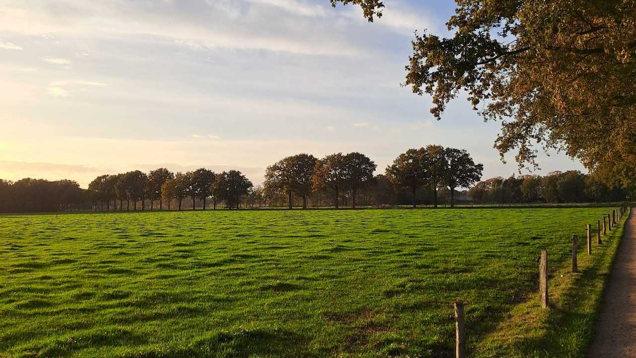 Wandelen voor beginnende.