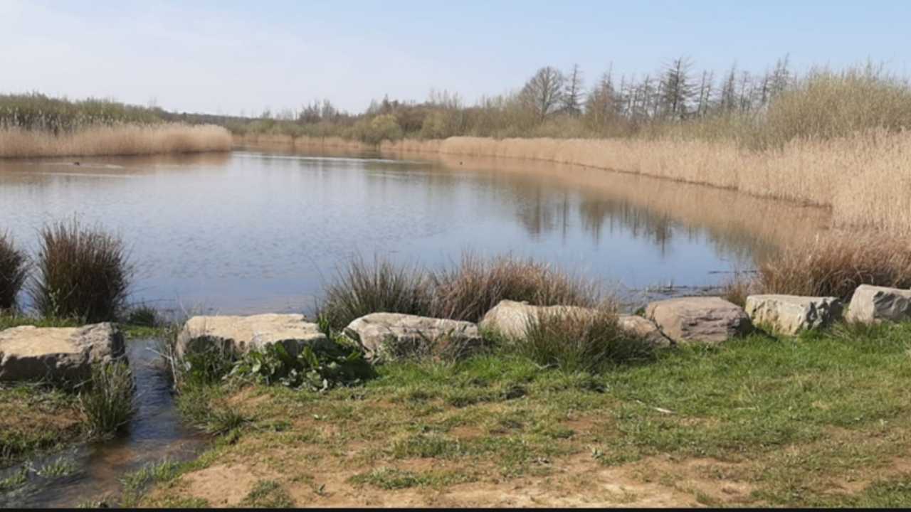 Wandelroute Maaspark Ooijen-Wanssum 16,3 km 